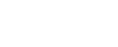 PaynPlus Logo