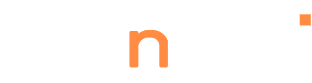 PaynPlus Logo